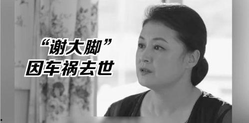 娱乐圈的大瓜吃瓜是谁啊,揭秘“吃瓜群众”背后的神秘人物